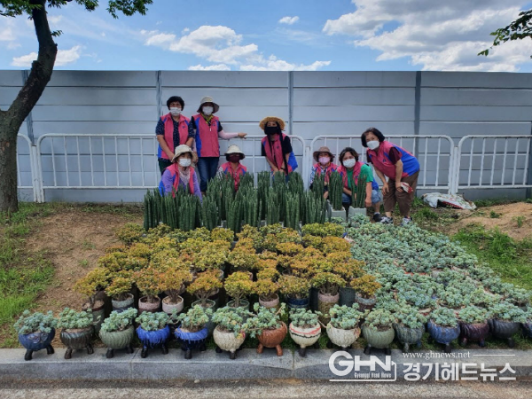 치유농업용 다육식물 식재