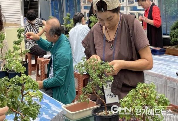 지난해 용인특례시 국화원예교육 수강생들이 분재에 열중하고 있는 모습
