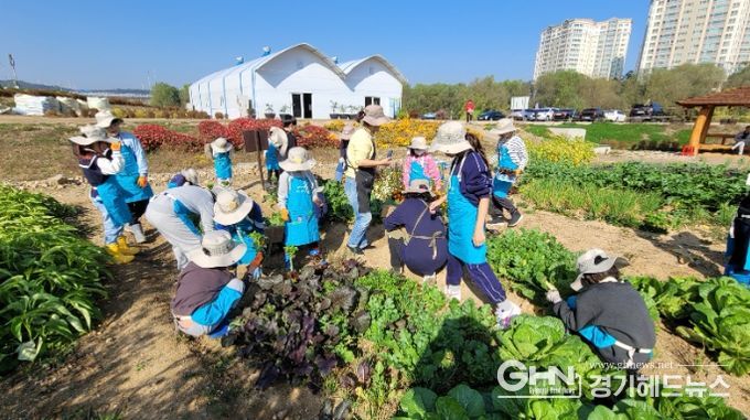 용인특례시가 올해 시민농장에서 텃밭을 가꿀 도시농부 794팀을 선정했다