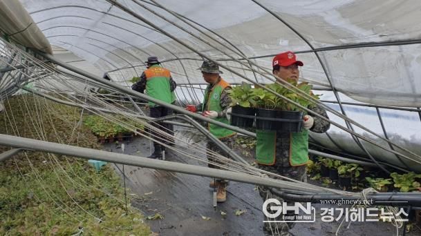 용인특례시 자율방재단 대원들이 폭설 피해를 입은 남사화훼단지 농가에서 복구작업을 지원하고 있다
