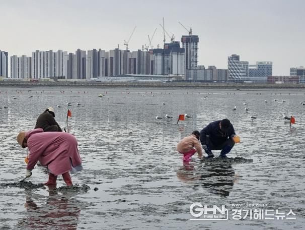시흥 명소 오이도, 어촌체험휴양마을 제2체험장 4월 1일 개장