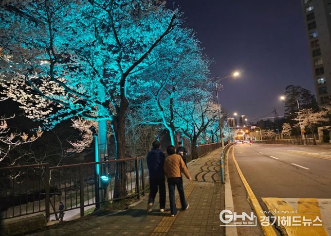 벚꽃길 따라 걷는 빛의 산책로…남양주시, 월문천 야간 경관조명 설치로 새 단장
