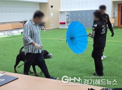 맹견 사육허가제도, 기질평가