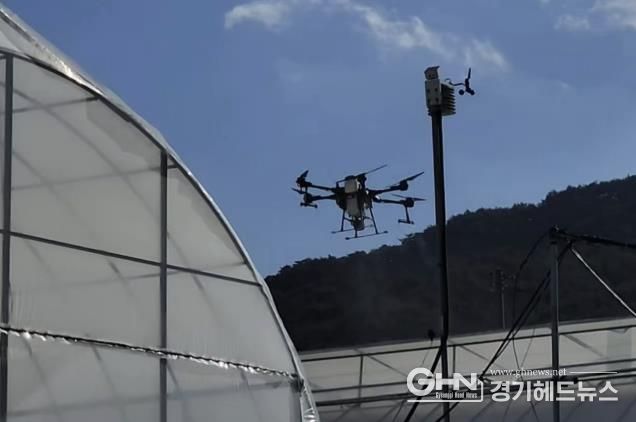 광주시농업기술센터, 드론 활용한 차광도포제 살포 실증 실시