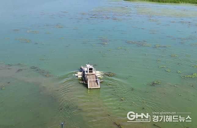 팔당호 녹조