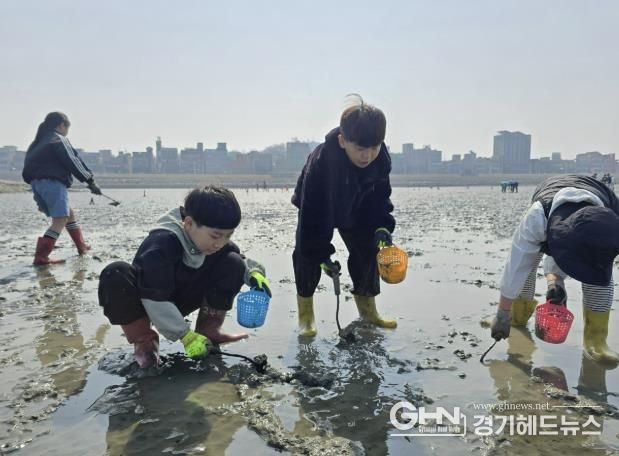 아이들이 갯벌에서 조개 캐기 체험을 하고 있다.