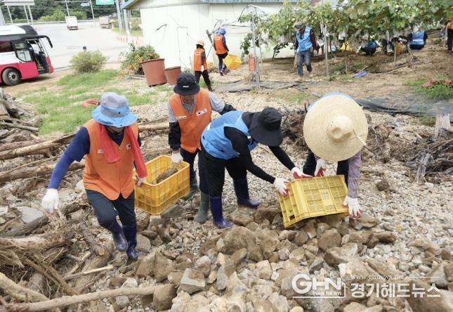 안산도시공사 직원이 가평의 한 포도농가에서 토사물을 정리하고 있다. (사진=안산도시공사 제공)