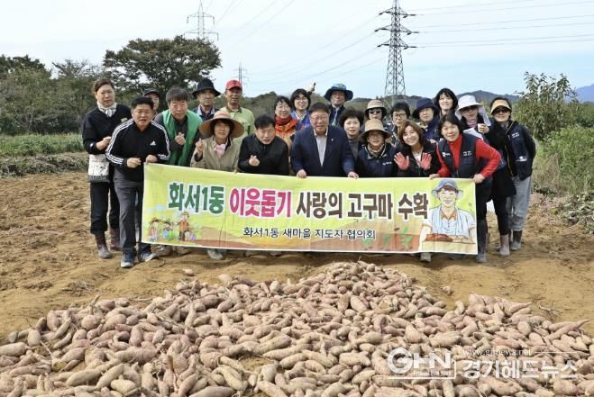 수원시 팔달구 화서1동 새마을지도자협의회, '2025 사랑의 고구마 수확 행사' 진행