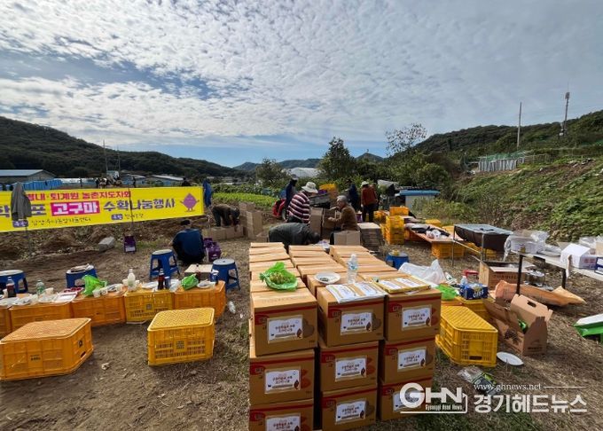 남양주시 농업인단체, 공동학습포 수확으로 ‘나눔의 농심’ 실천