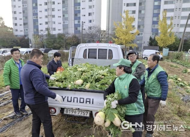 수원시 권선구 새마을지도자협의회, ‘사랑의 무’수확