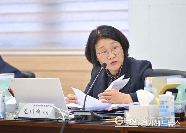 경기도의회 신미숙 의원