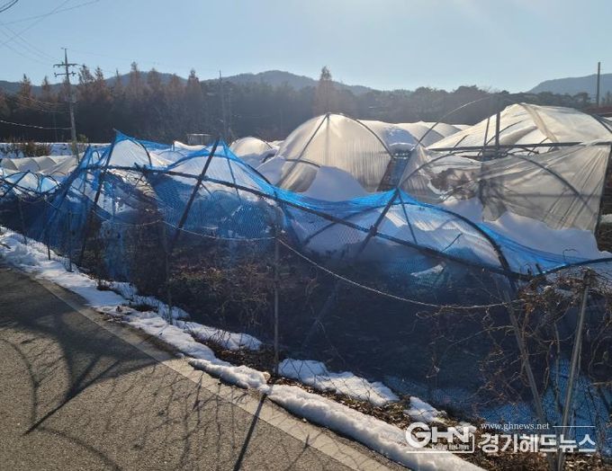 안성시, 올겨울 대설 대비, 차광·방조망 정리로 피해 예방하세요
