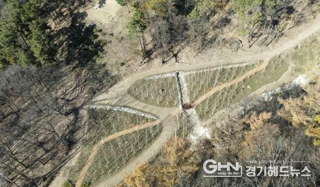 용인특례시가 수지구 죽전동에 조성한 '도시 숲' 모습