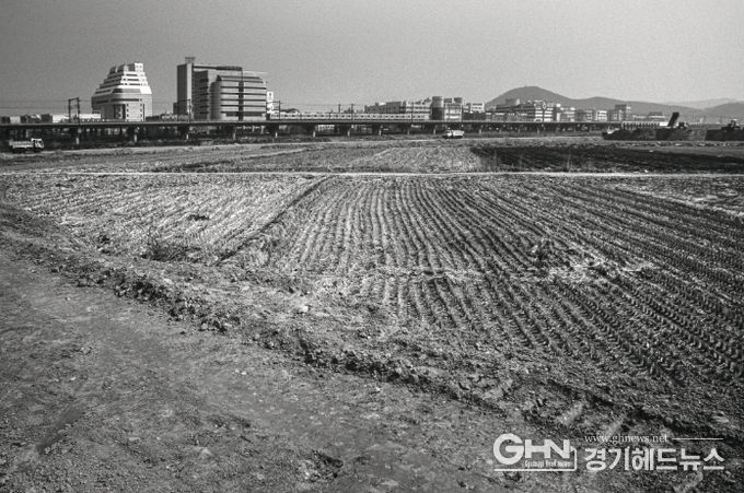 1995년도 고잔뜰 전경, 현재는 고잔신도시가 조성되어 아파트 단지로 변모했다.